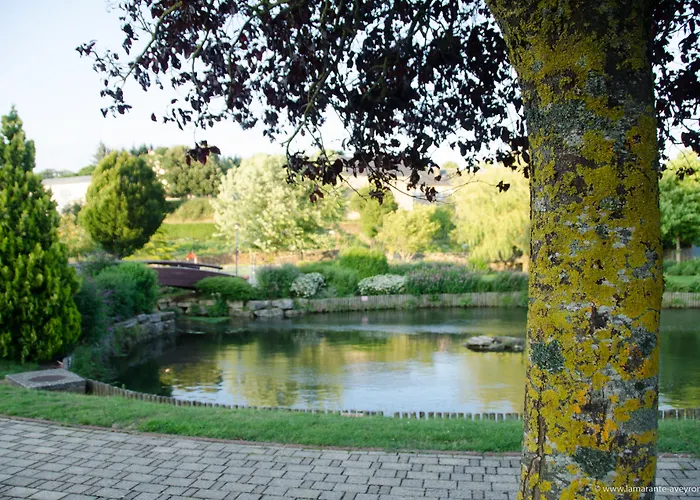 Bed & Breakfast L'amarante D'hotes De Panat Villefranche-de-Panat